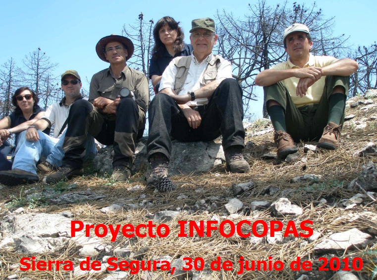 Foto equipo investigadores Proyecto Infocopa