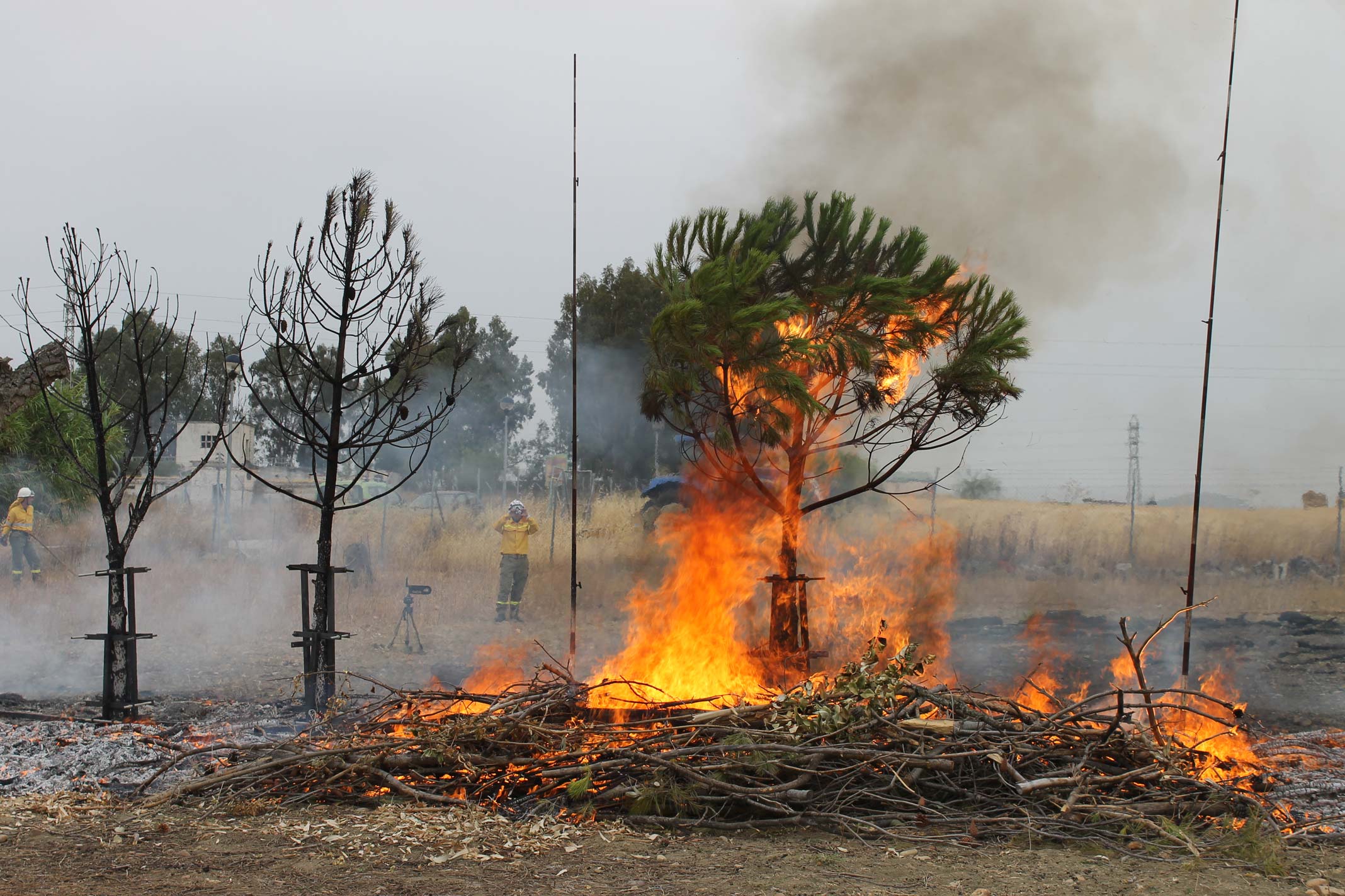 Foto2: Midiendo la propagación vertical del fuego desde un modelo de combustibles formado por restos vegetales. Base de los modelos HR del sistema UCO40