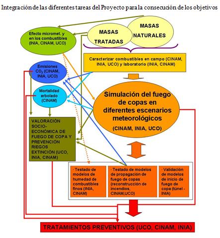 esquema proyecto INFOCOPA